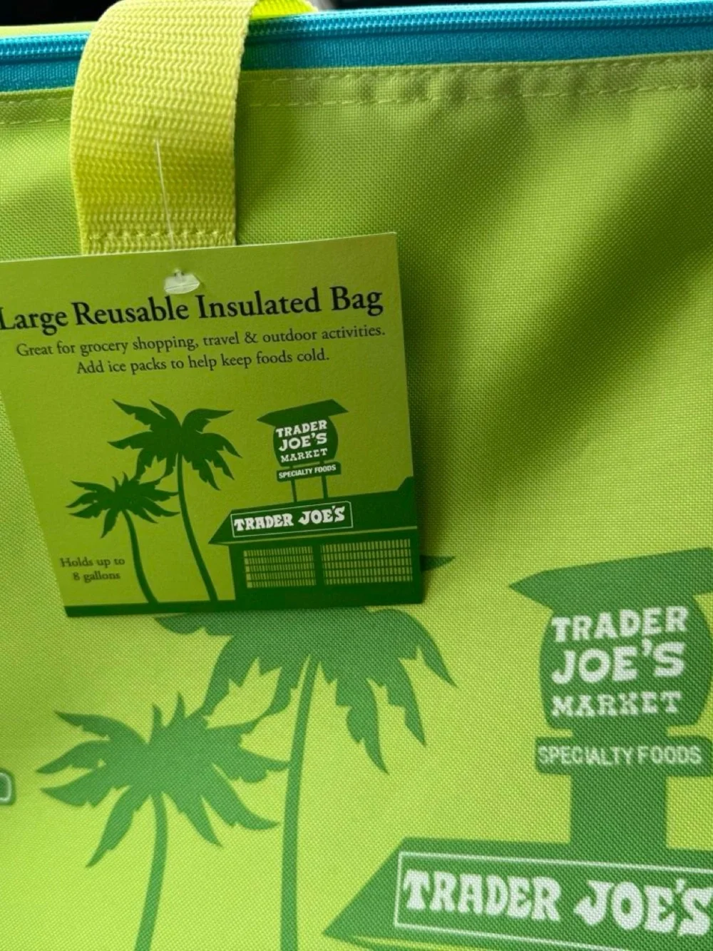 Trader Joe’s large insulated tote